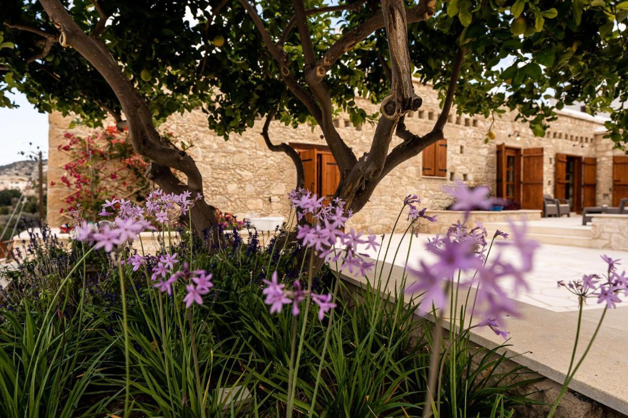 Harma Traditional Boutique Suites Пафос Екстериор снимка